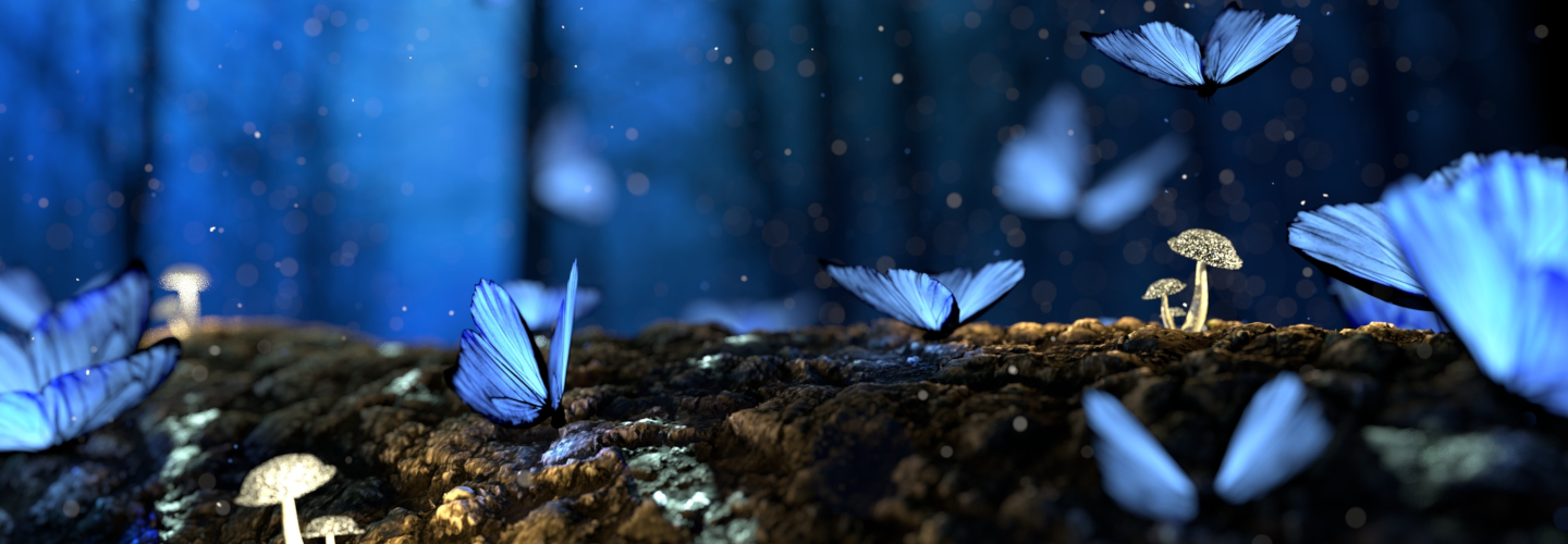 Image slider
